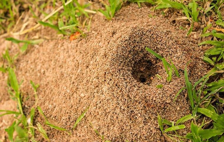 A sandy mound with a hole in it, located in Bedford.