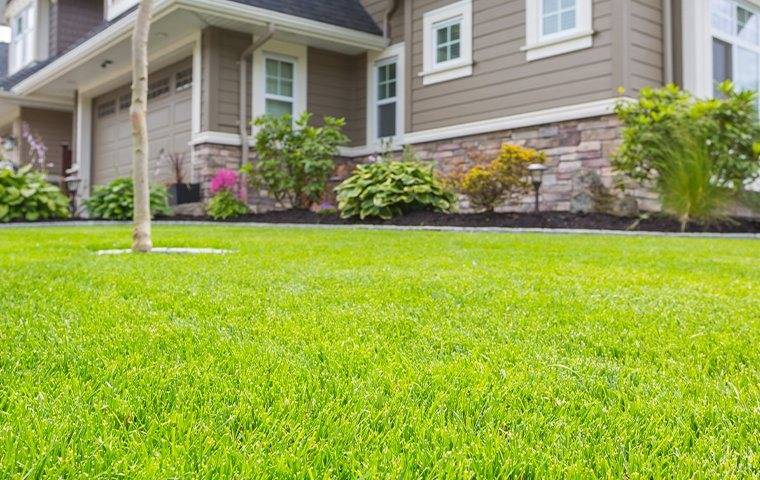 A green lawn in front of a TX Pest Control house.