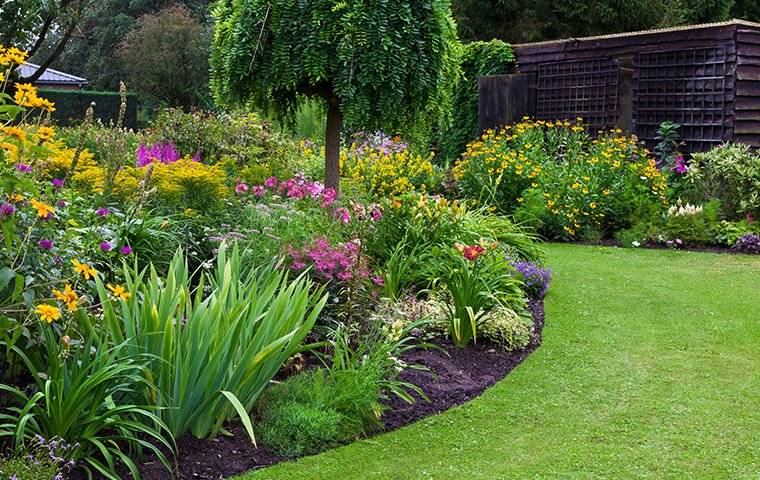 A garden in Midlothian with a lot of green grass and flowers.