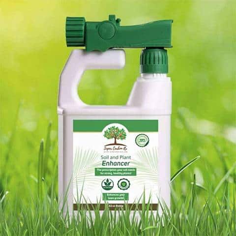 A bottle of grass deterrent with a sprayer in the grass, manufactured by Trees Hurt Too, Inc.