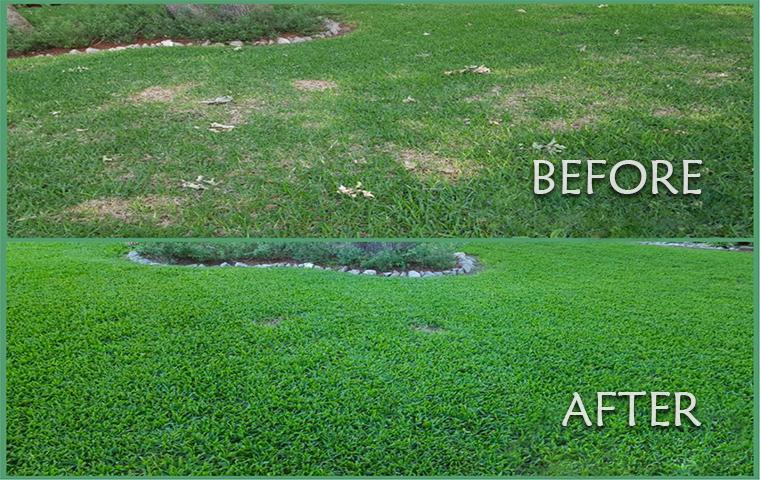 A before and after photo of a lawn transformed by Trees Hurt Too Pest Control Tarrant County, Inc. in TX.