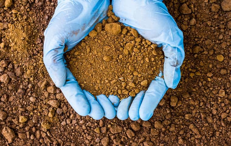 A pair of blue gloves conducting Moisture Management In Tarrant County, Inc. by holding a pile of dirt.