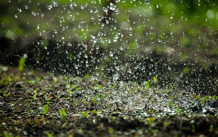 A TX | Trees Hurt Too sprinkler is spraying water on the ground.