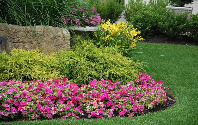 A flower bed with colorful flowers and a rock, maintained by Trees Hurt Too, Inc. in Tarrant County, TX.