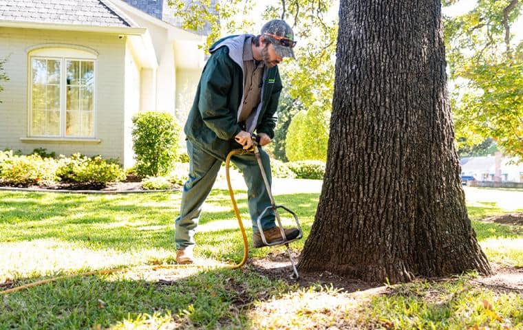 A man from Trees Hurt Too, Inc. cutting a tree in front of a house.