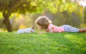 A little girl playing on the grass with a small dog.