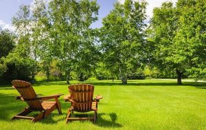 Blog: Enhancing Your Arlington Yard with Two Wooden Adirondack Chairs on a Green Lawn